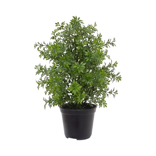 maxifleur Kunstplanten Eucalyptus Kunstplant 30cm - Uv Bestendig In Pot thumbnail