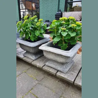 Altijd Iets Moois Il Cupido/ Betonnen Plantenbak| Bloembak| Beton/ Vorstvrije Bloembak| Frans Model Bloembak| Frans Model Plantenbak