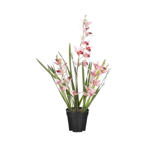 Mica Decorations Orchidee Bloem Kunstplant - Perzik Roze - H66 X B34 Cm thumbnail