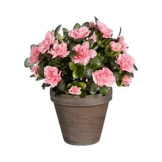Mica Decorations Kunstplant - Azalea - Perzik - In Pot - 31 Cm - Nepplanten