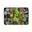 30x Succulenten