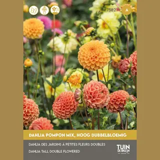 Dahlia Zaden Pompon Mix – Dubbele Zomerbloemen Voor Tuin Of Balkon – Geschikt Als Snijbloem – ±75 Bloemzaden - Tuin De Bruijn® Zaden