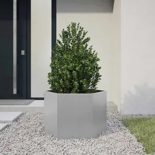 VidaXL - Plantenbak - Zeshoek - 69x60x45 - Cm - Gegalvaniseerd - Staal
