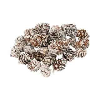 Decoris Kleine Decoratie Dennenappeltjes - 90 Gram - Bruin - 1, 5-2 Cm