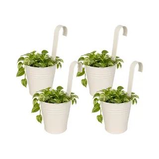 Pro Garden Progarden Bloempotje Met Haak - 4x - Plantenbak Zink Met Ophanghaak - Wit - 20 X 13 X 26 Cm - Ophangbaar - Balkon/schutting Plantenpot