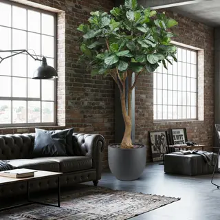 maxifleur Kunstplanten Lyrata Kunstboom Deluxe Xxl 350cm