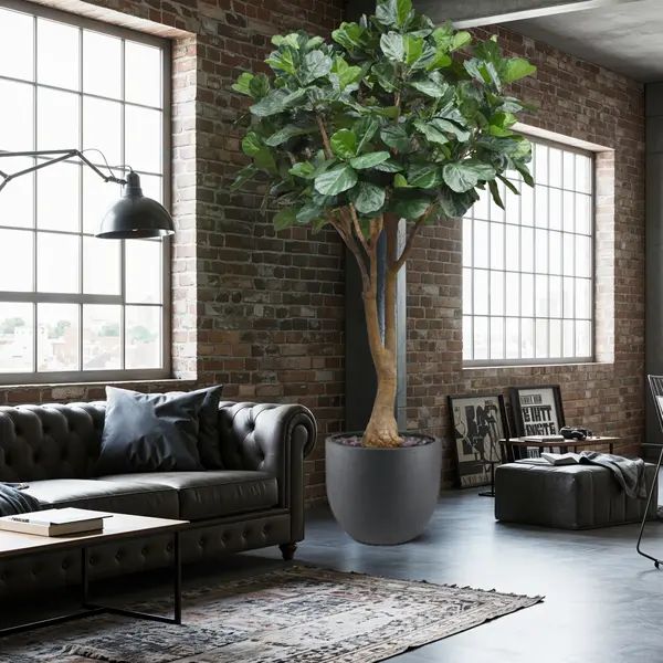 maxifleur Kunstplanten Lyrata Kunstboom Deluxe Xxl 350cm thumbnail