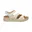 Wit