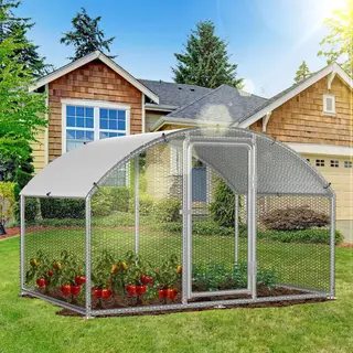 Dierenren 3×2×2 M - Duurzaam Verzinkt Staal - Pvc Gecoat Hexagaas - Beschermt Tegen Roofdieren - Met Deur & Veiligheidsslot - Voor Kippen En Kleine