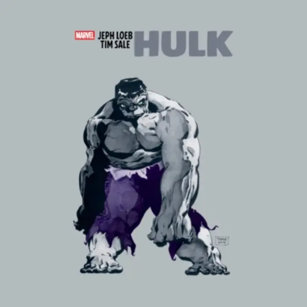 Marvel Comics Jeph Loeb & Tim Sale, Hulk thumbnail