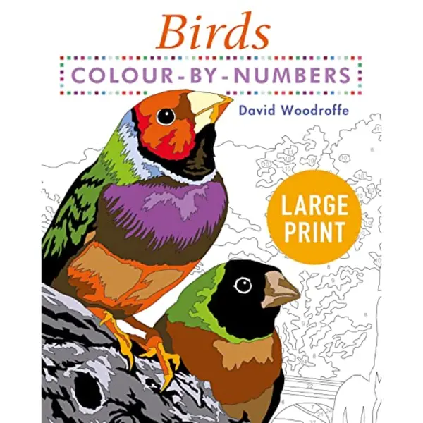 Arcturus Publishing Ltd Large Print Colour By Numbers Birds , Easy-to-Read thumbnail