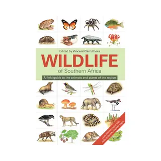 Wildlife Of Southern Africa