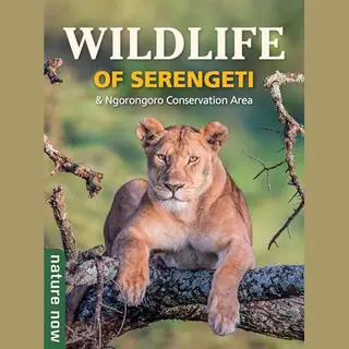 Wildlife Of Serengeti & Ngorongoro Conservation Area