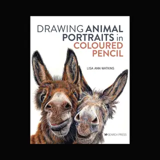 Drawing Animal Portraits In Coloured Pencil