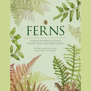 Hardie Grant Us Ferns , Lessons In Survival From Earths Most Adaptable Plants