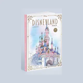 Hachette Heroes Disneyland Parijs Kleurboek - Voor Volwassenen - 90 Illustraties