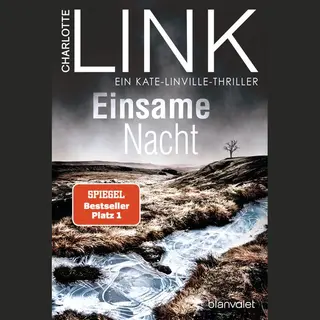 Einsame Nacht