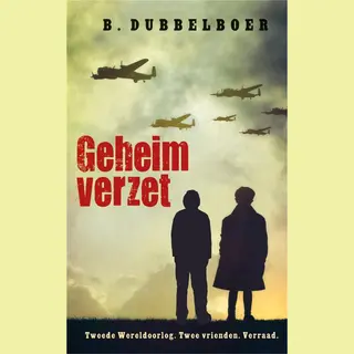 Geheim Verzet