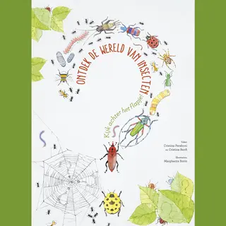 Ontdek De Wereld Van Insecten