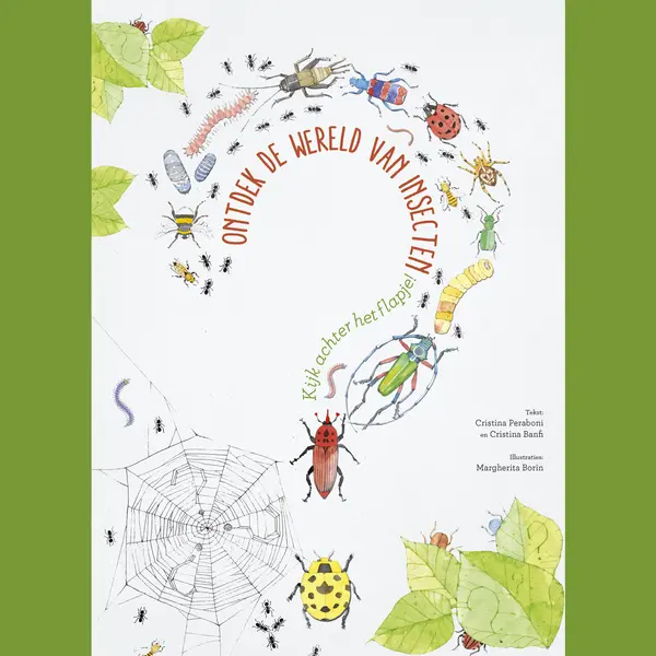 Ontdek De Wereld Van Insecten thumbnail