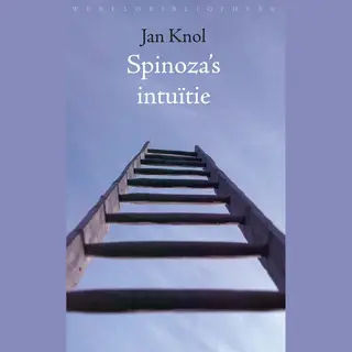 Spinoza's Intuitie