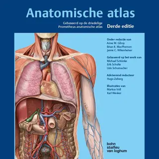 Anatomische Atlas