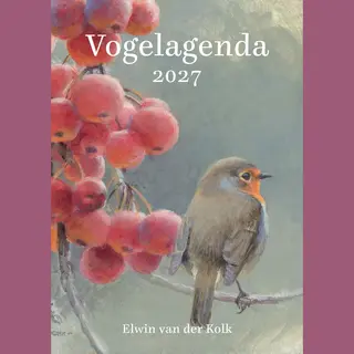 Vogel Agenda 2027