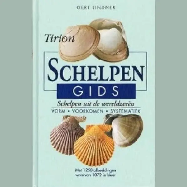 Schelpengids thumbnail