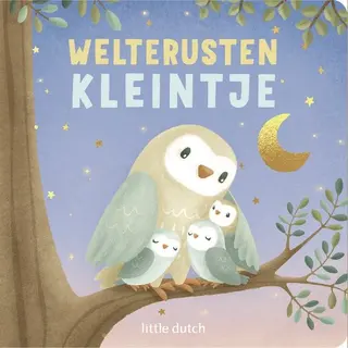Boekje Little Dutch Welterusten Kleintje