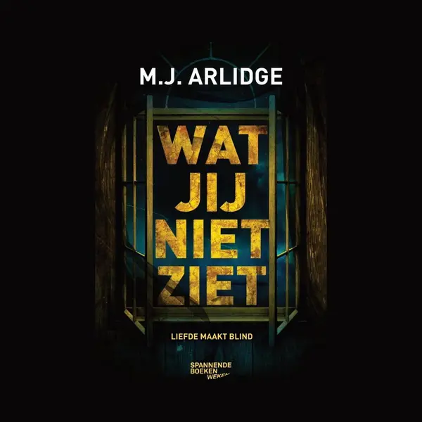 Wat Jij Niet Ziet - M.J. Arlidge thumbnail