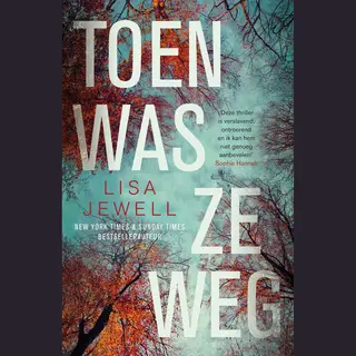 Toen Was Ze Weg