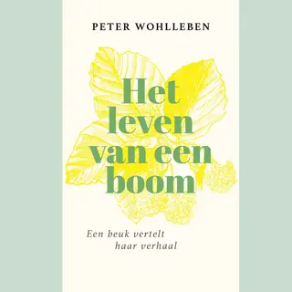 Het Leven Van Een Boom