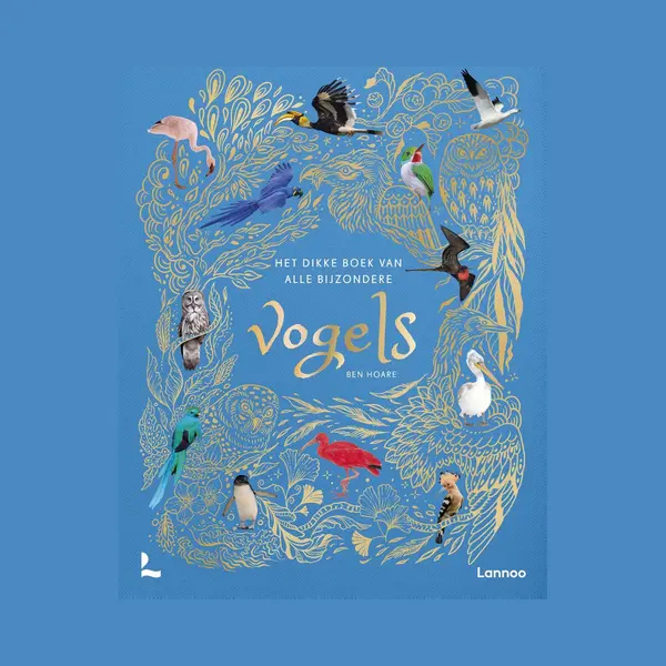 Het Dikke Boek Van Alle Bijzondere Vogels thumbnail