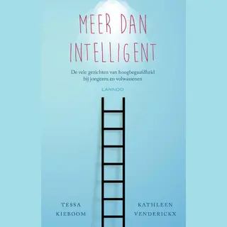 Meer Dan Intelligent