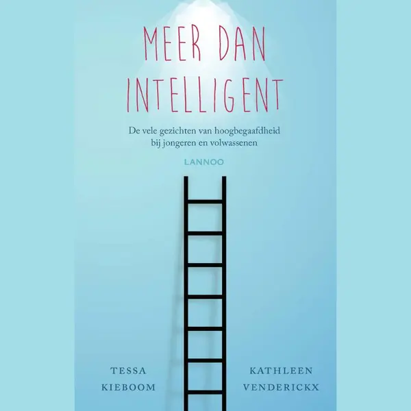 Meer Dan Intelligent thumbnail