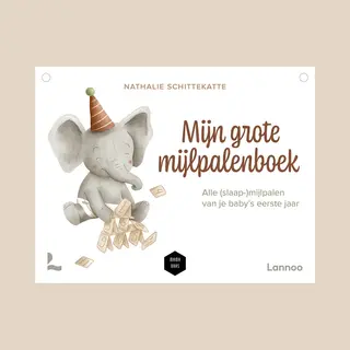 Mijn Grote Mijlpalenboek