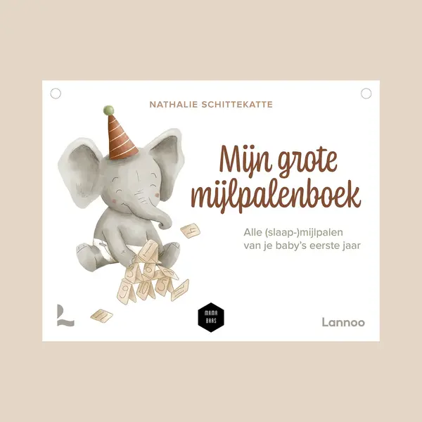 Mijn Grote Mijlpalenboek thumbnail
