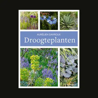 Droogteplanten