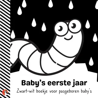 Baby's Eerste Jaar