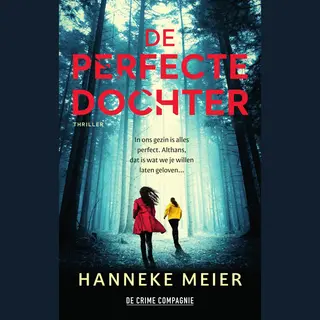 Hanneke Meier De Perfecte Dochter