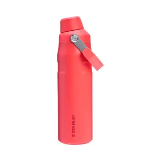 Water Bottle Stanley The IceFlow™ Flip Straw 2.0