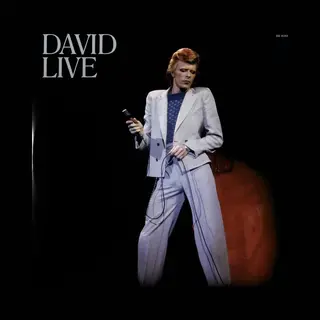 Warner Music David Live (2005 Mix) Lp