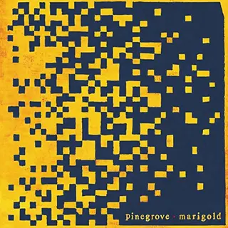 Konkurrent Pinegrove - Marigold (Lp)