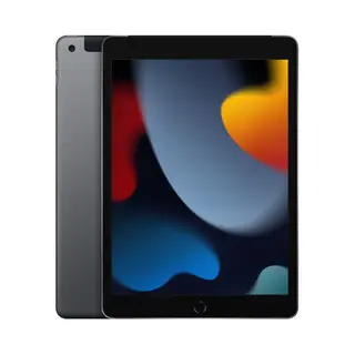 Apple iPad 4G Lte 64 Gb 25,9 cm (10.2") Wi-Fi 5 (802.11ac) iPadOS 15 Grau