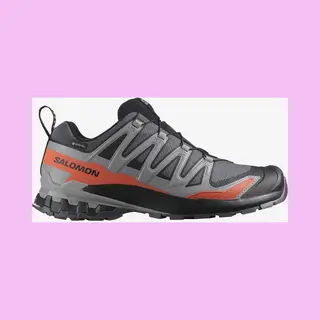 Salomon Herren Xa Pro 3D V9 Gore-tex Running Shoes, 46 Eu