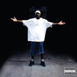 Suburban Harlem's Finest, Return Of The King