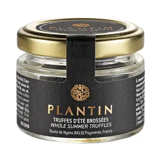 Plantin Zomertruffel 12, 5g