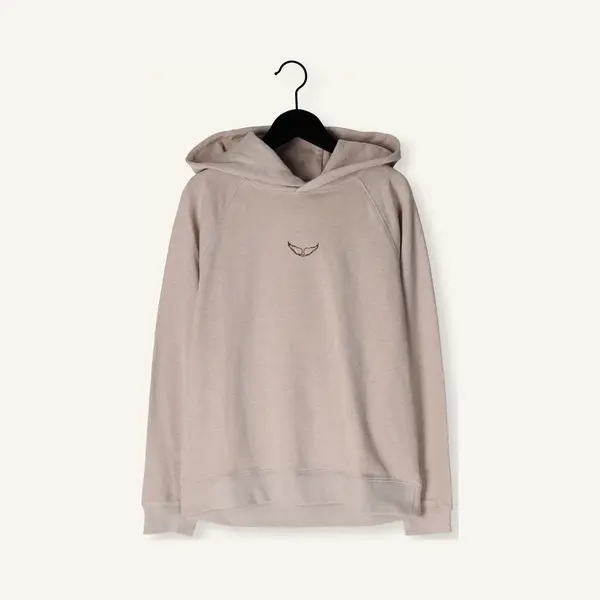 Zadig & Voltaire Für Mädchen. X60544 Grauer Hoodie (16años= 176cm), Lässig, Baumwolle, Kinderbekleidung thumbnail