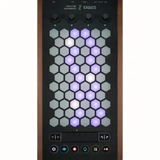 Intuitive Instruments Exquis Deluxe Dark Wood - Daw Controller