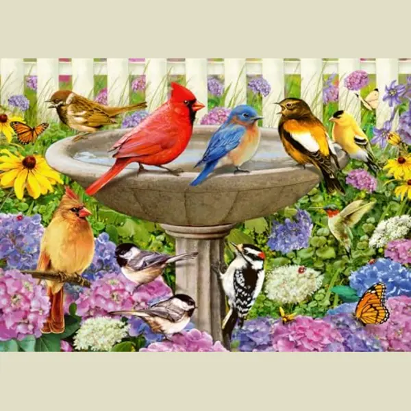 Ravensburger Bij het vogelbadje thumbnail